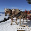 dscf9538_1_3