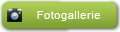 bungy-fotogallerie-hover