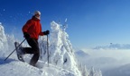 Rigi Special