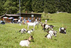 schneeschuhtrekking