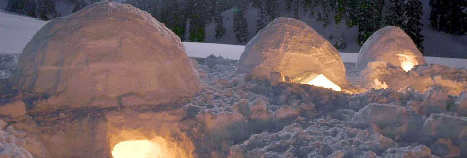 /en/teambuilding-gallery/iglu-bau