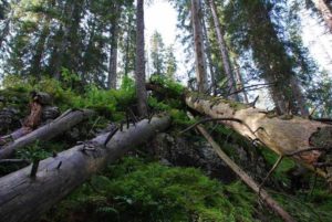 Karst Wanderung | Trekking Team AG