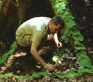 Landart-Projekt | Trekking Team AG