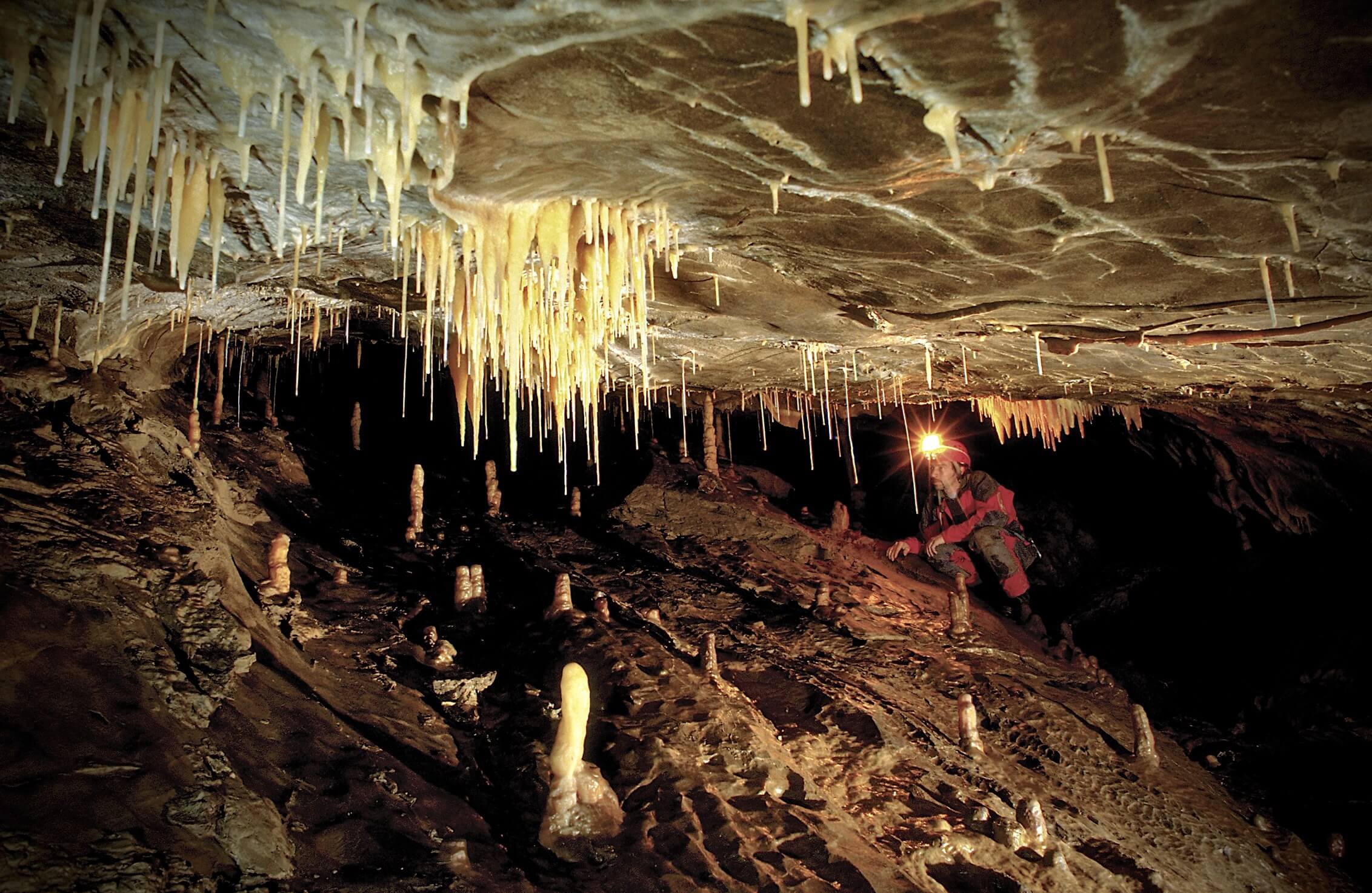 Hölloch_Tropfsteine_421C